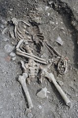 Skeleton in a tomb Archaeological Digs France
