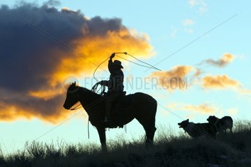 Cowboy on his quarter horse at sunset Wyoming USA