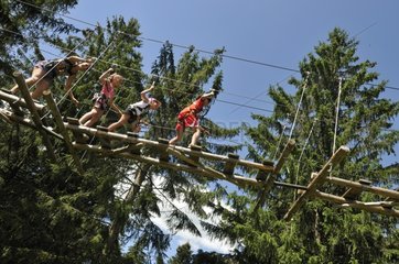 Children on a tree climbing Jura France