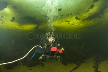 Scuba diving under the ice White Sea Karelia Russia