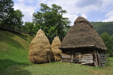 Haystacks and old barn in Romania
