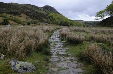 Old trail Snowdonia National Park Wales UK