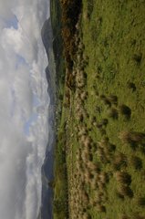 Landscape of Snowdonia National Park Wales UK