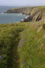 Pembrokeshire Coastal Path PN Coast Wales UK