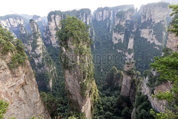 Hallrlujah Mountains Southern Sky Column - Avatar site China