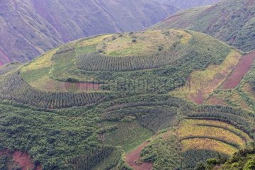 Terrace cultivation on red lands - Luoxiagou China