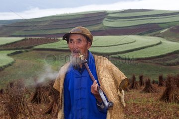 Old man smoking a pipe in front of terrace cultivation - China