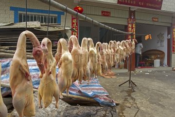 Ducks at Shengchum market - China Yuanyang
