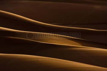 Curves of the sand dunes of Erg Chebbi in Morocco