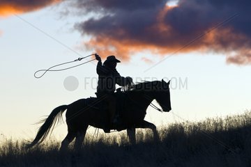 Cowboy with his lasso at sunset USA