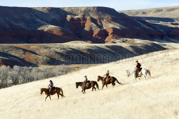 Cowboys in the meadow in the Wyoming USA