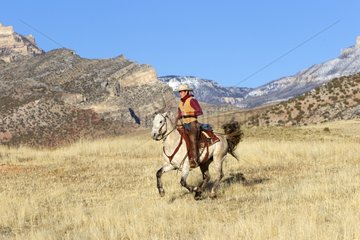 Cowboy on his Quarter Horse in the meadow Wyoming USA