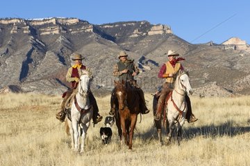 Cowboys on their Quarter Horses in the meadow Wyoming USA