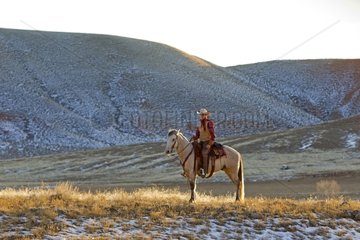 Cowboy and Quarter Horse in the meadow Wyoming USA
