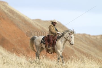 Cowboy and Quarter Horse in the meadow Wyoming USA