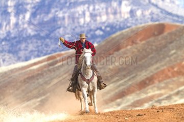 Cowboy on his Quarter Horse with a lasso Wyoming USA
