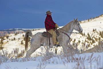 Cowboy on his Quarter Horse in Snow Wyoming USA