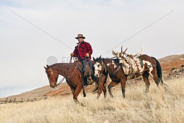 Cowboy and Quarter Horses in the meadow Wyoming USA