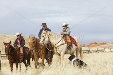 Cowboys and Quarter Horses in the meadow Wyoming USA