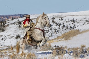 Cowboy on his prancing Quarter Hose Wyoming USA