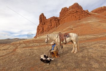Cowboy with her Quarter Hose and her dog Wyoming USA