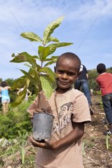 Tree planting in dry forest Ouen-Toro in Noumea