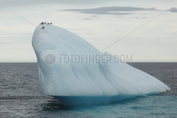 Iceberg drifting off the coast of Svalbard Svalbard