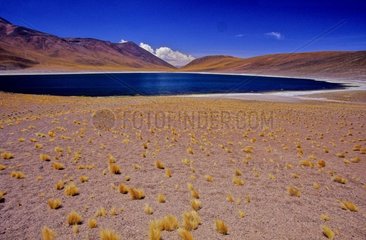 Gebiet des Lake Miniques des Anden Atacama Chile