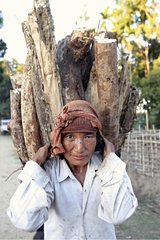 Carrier wood in the village of Lali Arunachal Pradesh India