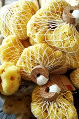 Natural sponges for sale Kornati Islands Croatia