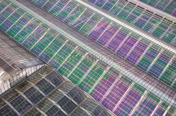 Aerial view of greenhouses in Picardy France