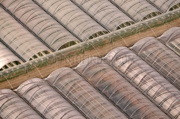 Greenhouses in Clermont country in Picardy France