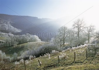 Revermont frosted landscape in the Jura France