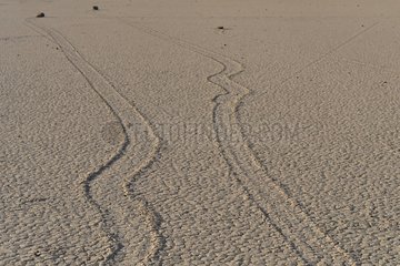 Sailing stones and its tracks on Racetrack playa USA