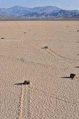 Sailing stones and its tracks on Racetrack playa USA