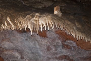 Stalactites along the overhanging clay Baoumo Rousso France