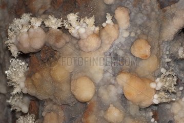 Bouquet of Aragonite and Calcite on balls Hydromagnesite