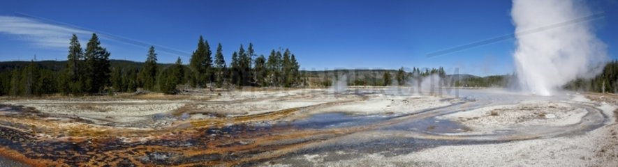 Upper geyser basin Yellowstone National Park USA