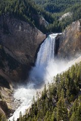 Waterfall on the Yellowstone River USA