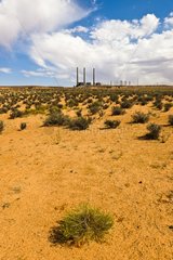 Chimneys of a power plant Arizona USA