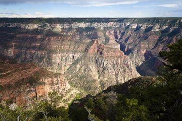 North Rim of Grand Canyon National Park Arizona USA