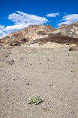 Artist Palette Death Valley NP USA