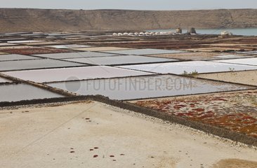 Janubio of saline on the island of Lanzarote in the Canary Islands