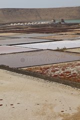 Janubio of saline on the island of Lanzarote in the Canary Islands