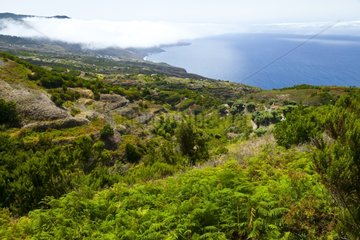 View from the viewpoint of Mirador de la Tosca at La Palma