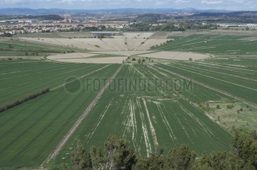 Fields near the Oppidum Ensérune in Hérault France