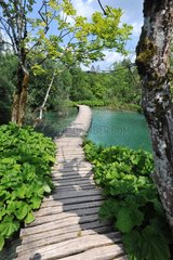 Gateway wooden and riparian NP Plitvice Lakes Croatia