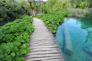 Gateway wooden and riparian NP Plitvice Lakes Croatia