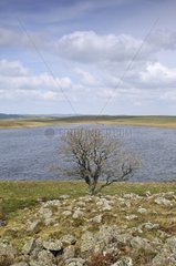 Lake Saint-Andeol on Aubrac in Lozere France