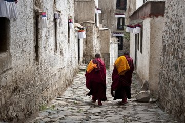 Monks Tashilhunpo Monastery Shigatse Tibet